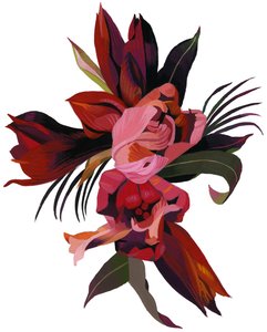 Image inconnue - Unbekannt Unbekannt